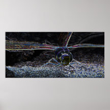 Dragonfly Neon Poster