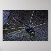Dragonfly Neon Poster 2
