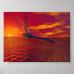 Dragonfly Print