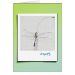 Dragonfly Sketch Card