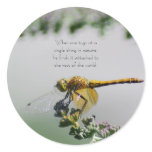 Dragonfly Stickers