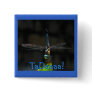 Dragonfly TaDaaa Surprise Button