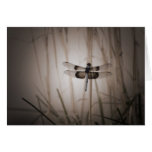 Dragonfly - Vintage look Card
