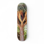 Dragons Blood Trees skateboards