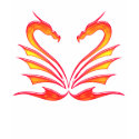 DRAGONS HEART t-shirts