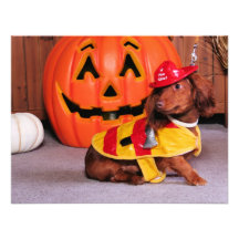 Drake - Dachshund - Mangelsa Invitations