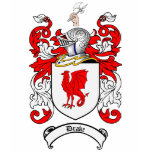 DRAKE FAMILY CREST -  DRAKE COAT OF ARMS t-shirts
