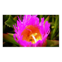 Drake's Beach Flower No. 2 Business Cards