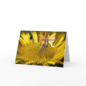 Drama On A Sunflower cards
