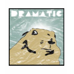 dramatic chipmunk tees