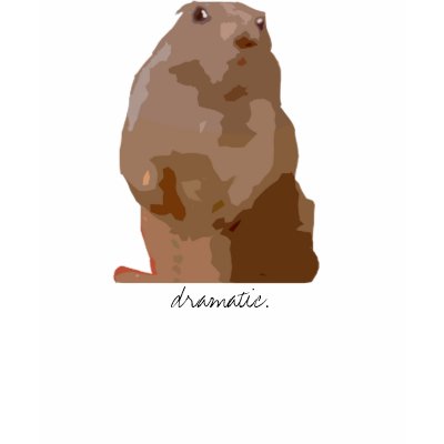 Dramatic Hamster Tshirts by sangohan