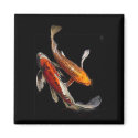 Dramatic Koi Pair magnets