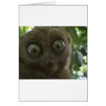 Dramatic Lemur cards