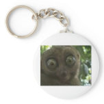 Dramatic Lemur keychains