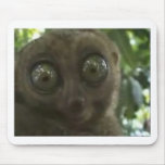 Dramatic Lemur mousepads