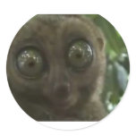 Dramatic Lemur stickers