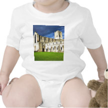 Dramatic Picture Of Fountains Abbey Right Before S Bodysuits