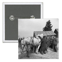 Draught   Horse Auction, 1930s Pin