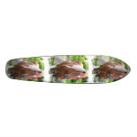 Draught Horse Skateboard