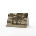 Draught   horses ploughing birthday card