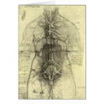 Drawing of a Woman's Torso by Leonardo da Vinci cards
