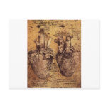 Drawing of the heart and its blood vessels postcards