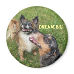 Dream Big Magnet