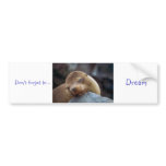 Dream bumper sticker by tdgallery bumper stickers