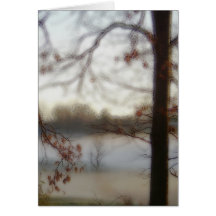 Dream Country Cards