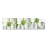 Dream Flowers and Magic Patterns bumper stickers