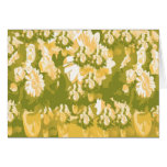 Dream Flowers and Magic Patterns Card