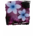 Dream in Bloom t-shirts