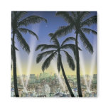Dream of Hollywood magnets