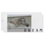 DREAM rack cards