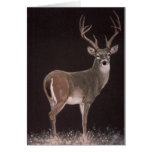 Dream Stag cards