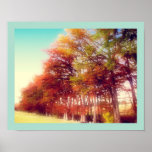 Dream Trees, Fine Art Print or Poster