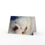 Dreaming English Bulldog Puppy Birthday cards