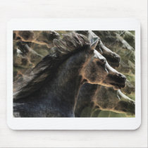 Dreaming of horses