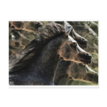 Dreaming of horses