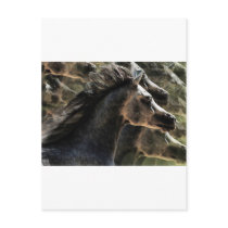 Dreaming of horses
