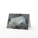 Dreaming of Icebergs Greeting Card