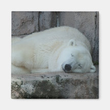 Dreaming of Icebergs Refrigerator Magnets