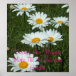 Dreams are Flowers