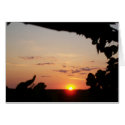 DREAMS cards