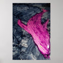 dreams of dolphins posters