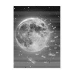 Dreams That Fly Postcard