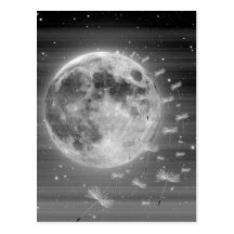Dreams That Fly Postcard