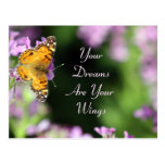 Dreams & Wings Butterfly Photography Post Card
