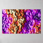DreamXyZ.com - PANSY posters