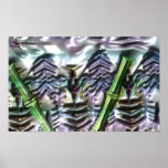 DreamXyZ.com - ROUSCH posters
